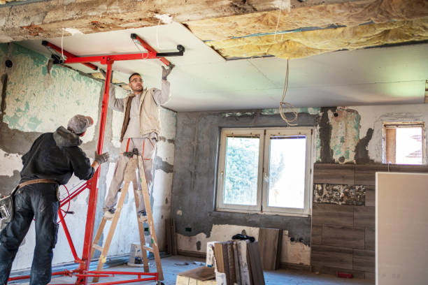 Best Insulation Removal  in Suamico, WI